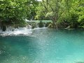 IMG_8325