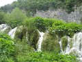 IMG_8343