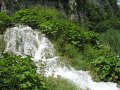 IMG_8346