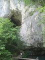 IMG_8348