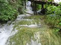 IMG_8349