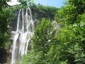 IMG_8392