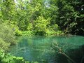 IMG_8427