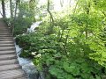 IMG_8428