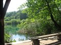 IMG_8433