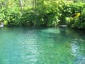 IMG_8435