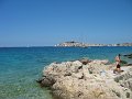IMG_9351