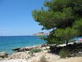 IMG_9358