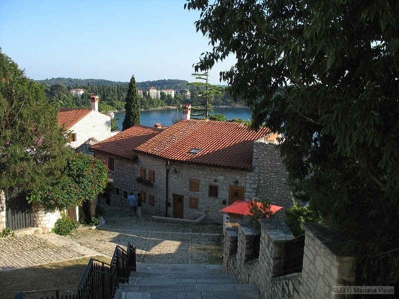 IMG_9408.jpg
