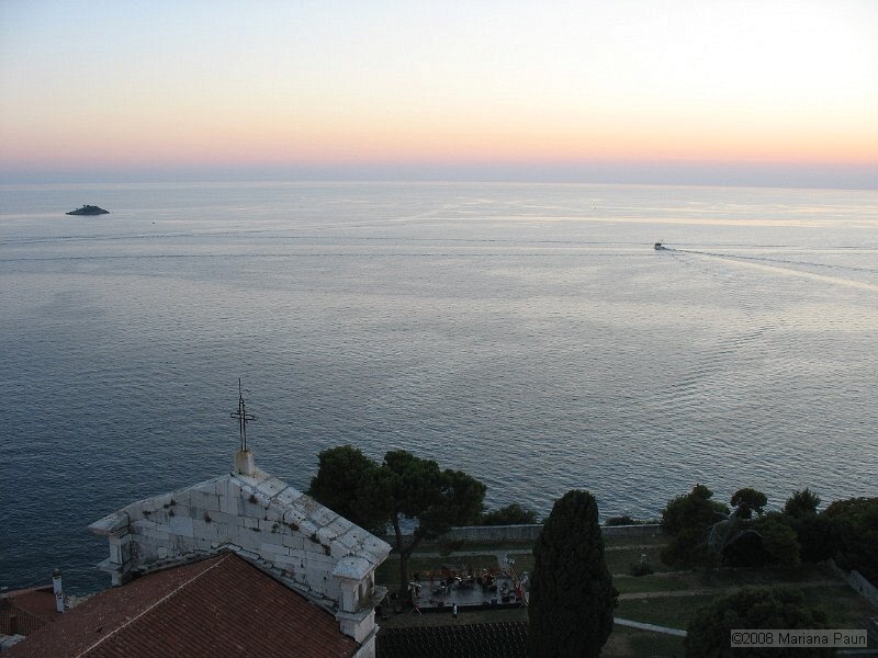 IMG_9454.jpg