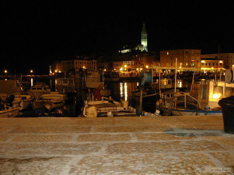 IMG_9488.jpg