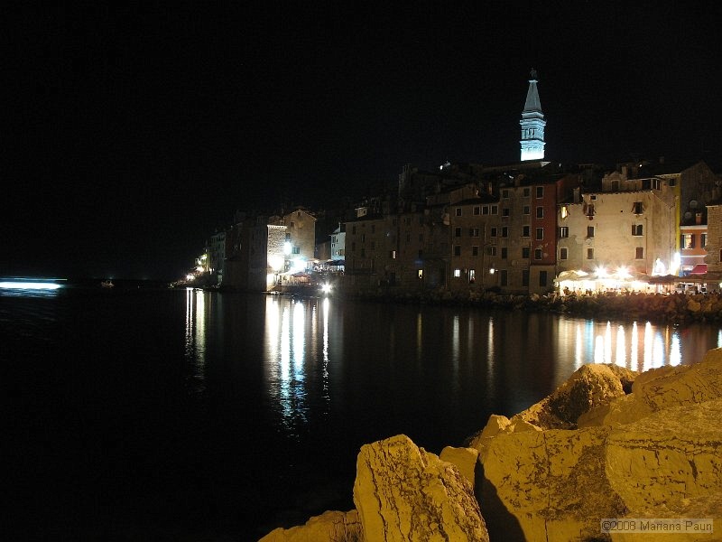 IMG_9501.jpg