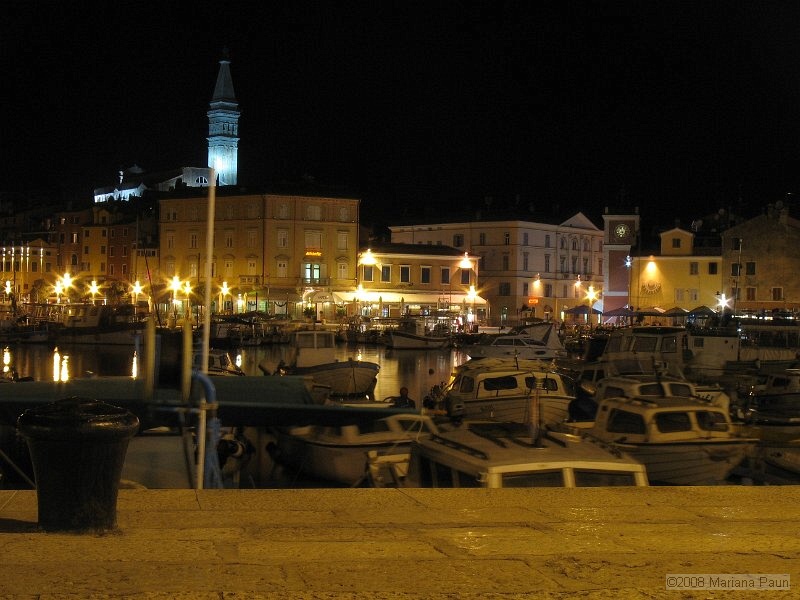 IMG_9509.jpg