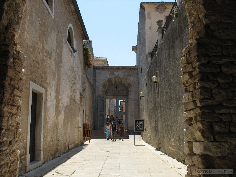 IMG_9530.jpg