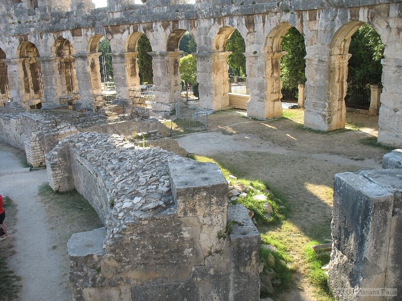 IMG_9570.jpg