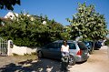 IMG_1111