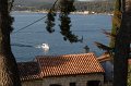 IMG_1131