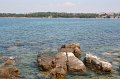IMG_1238