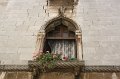 IMG_1243