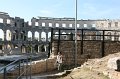 IMG_1266