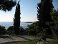 IMG_9412