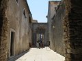 IMG_9530