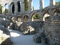 IMG_9556
