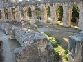 IMG_9570