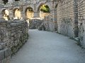 IMG_9589