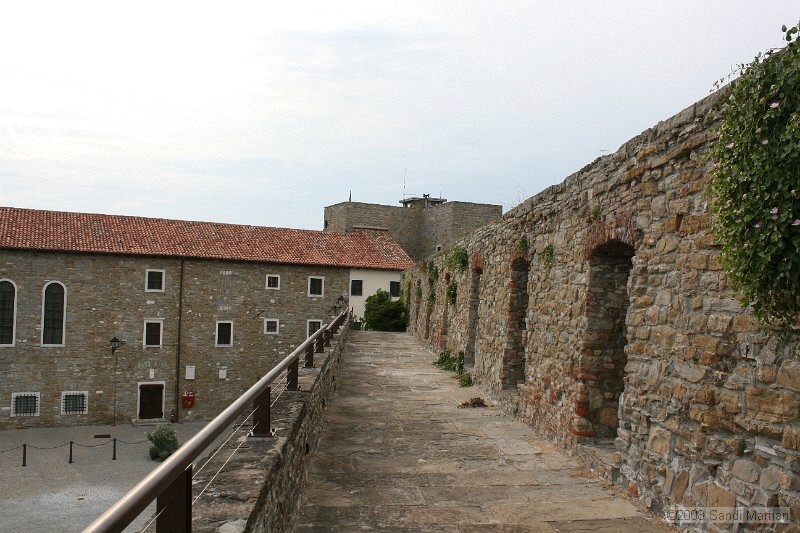 IMG_1400.jpg