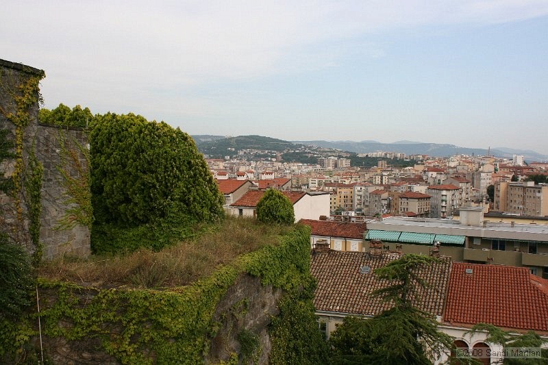 IMG_1411.jpg