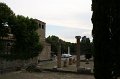 IMG_1374