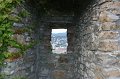 IMG_1394