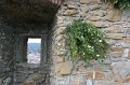 IMG_1398