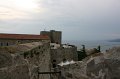 IMG_1404