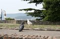 IMG_1424