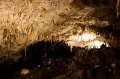 IMG_1482