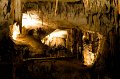 IMG_1492