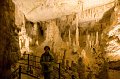 IMG_1513