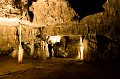 IMG_1538
