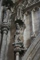 IMG_1586