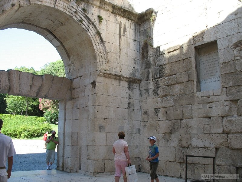 IMG_9101.jpg