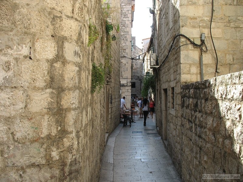 IMG_9118.jpg