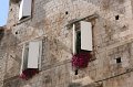 IMG_0597