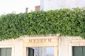 IMG_0651