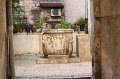 IMG_0659