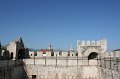 IMG_0665
