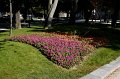 IMG_0767