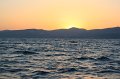 IMG_0852