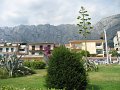 IMG_8887